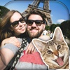 Funny Cat Photo Bomb – make your pics awesome with cute kitty stamps