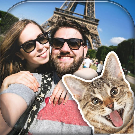 Funny Cat Photo Bomb – make your pics awesome with cute kitty stamps icon