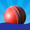 Cricket clicker - Cricket umpire's assistant