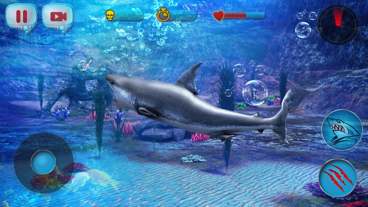 Angry Shark 2016 screenshot-4