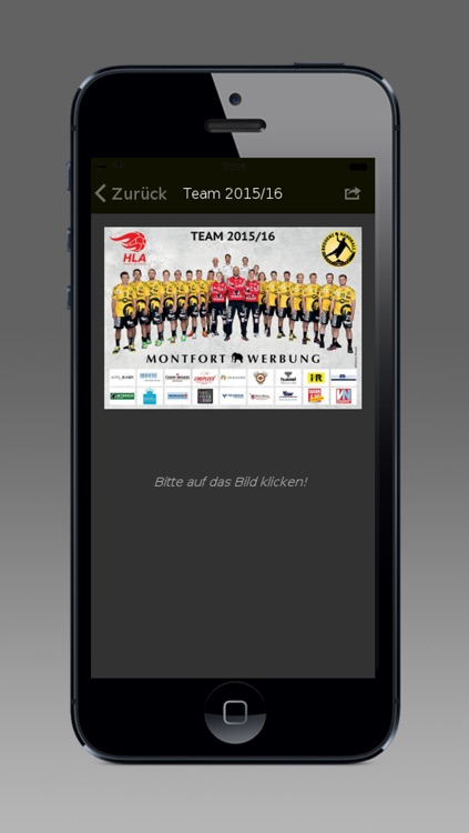 Bregenz Handball screenshot-3
