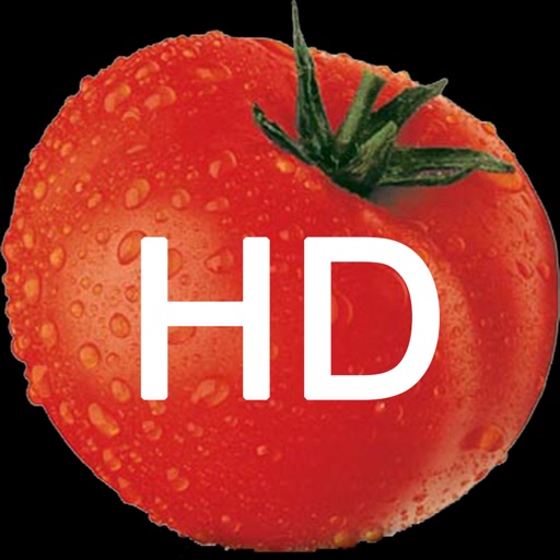 Ketchup HD iOS App