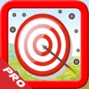 Arrow Bowmaster PRO - Shooting Skills Practice