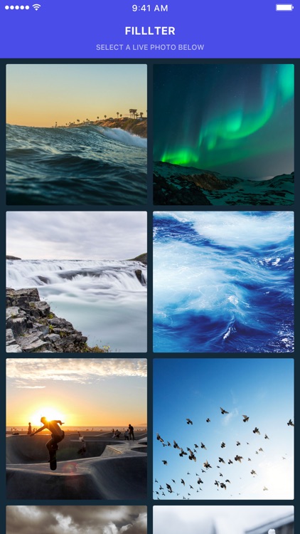 Filllter - Filters & Effect for Live Photos screenshot-0