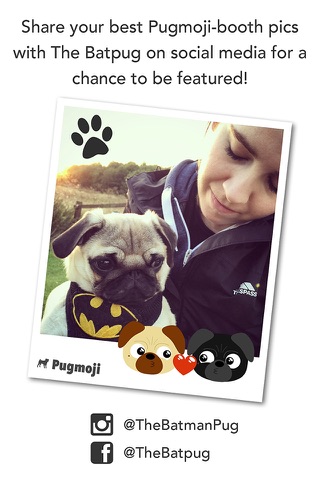 Pugmoji Photo Booth by the Batpug screenshot 4