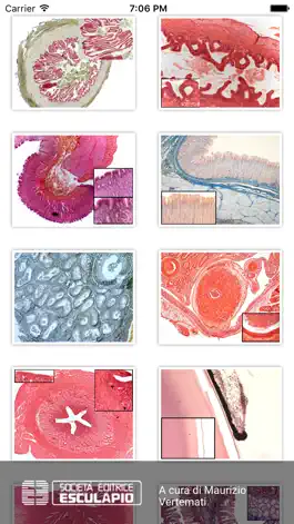 Game screenshot Diagnosi di Anatomia Microscopica apk