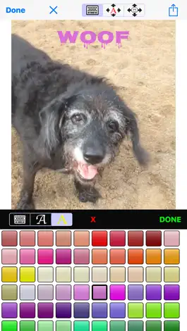 Game screenshot iMagiGIF - time-bending animated GIF maker camera hack