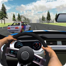 Activities of Traffic Racing : Behind the Wheel