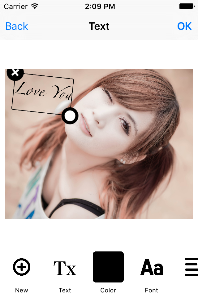 Photo Sticker Beauty