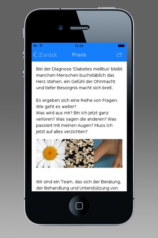 Diabetes Zentrum Wiesbaden screenshot 2