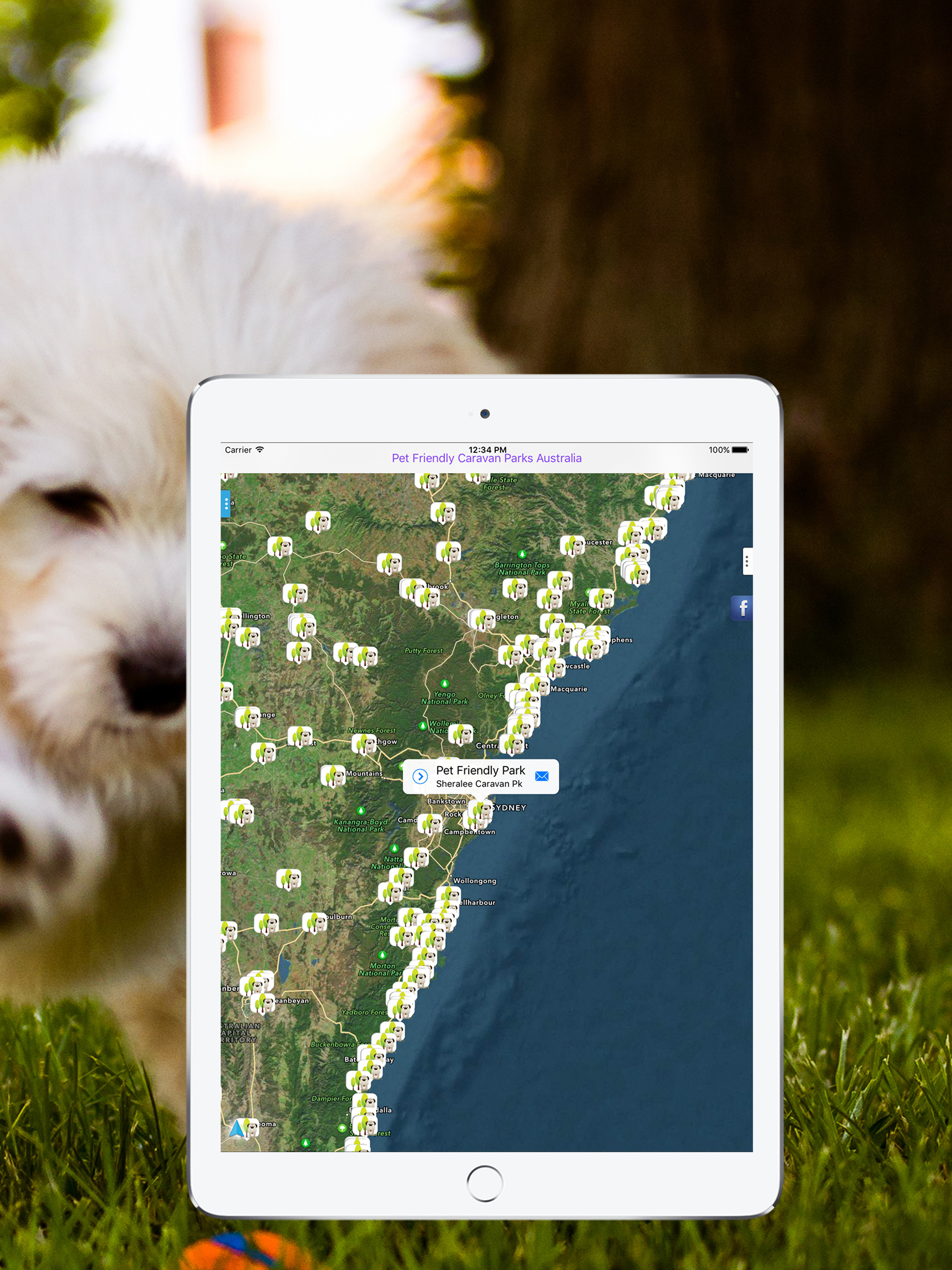 Pet Friendly Caravan Parks Australia screenshot 6