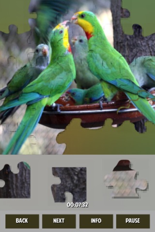 Parrots Jigsaw Puzzles screenshot 2