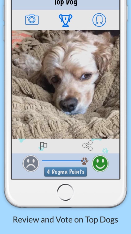 Top Dog Pics