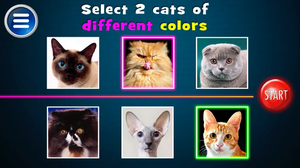 #3. Simulator Morph Cat (iOS) di: Mariya Ivanova