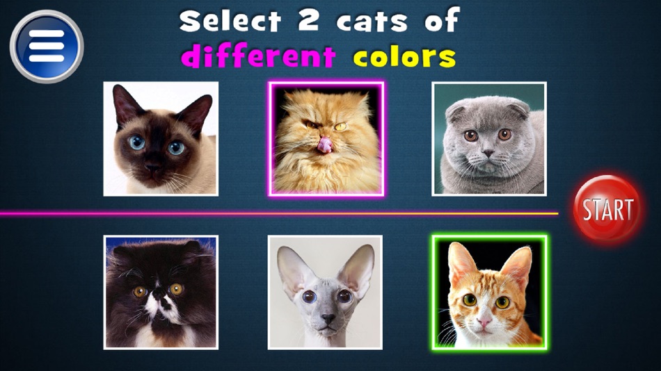 #3. Simulator Morph Cat (iOS) By: Mariya Ivanova