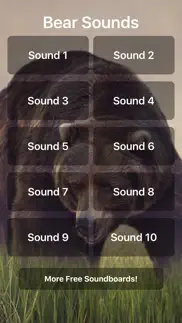 bear sounds! problems & solutions and troubleshooting guide - 1