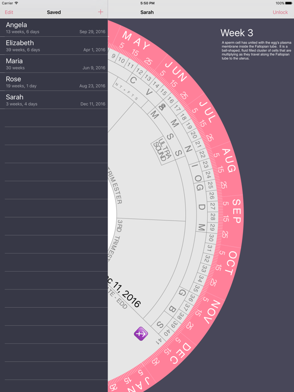 Screenshot #6 pour Pregnancy Wheel