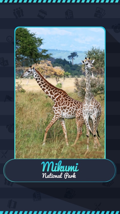Mikumi National Park Tourism Guide