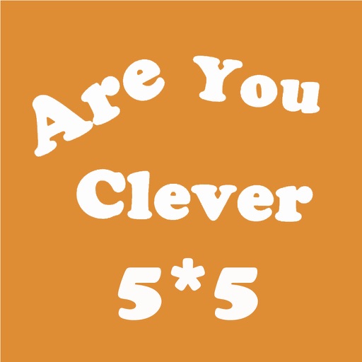 Are You Clever - 5X5 Puzzle Pro iOS App