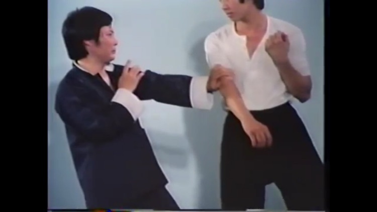 Teach Yourself Wing Chun screenshot-4