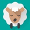 Have you ever been curious about your personal sleep habits