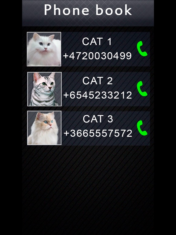 Screenshot #6 pour Fake Video Call Cat