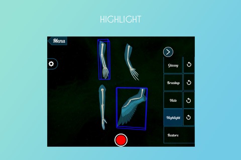 Homologous Organs 3D screenshot 3