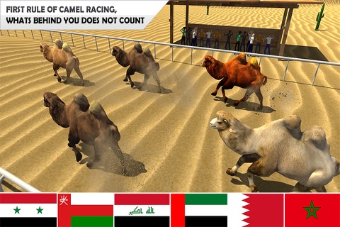 Real Camel Simulator 3d: Horse Racing game & wild animals games screenshot 2