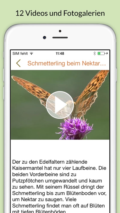 Insekten & Schmetterlinge bestimmen – entdecken Sie die 100 wichtigsten Arten in der Natur und im eigenen Garten screenshot-3