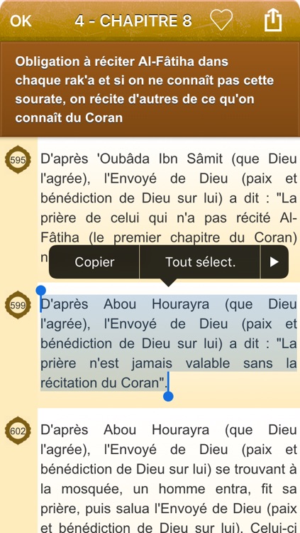 Sahih Muslim Audio mp3 en Français et en Arabe (Lite) - +1700 Hadiths - صحيح مسلم screenshot-4