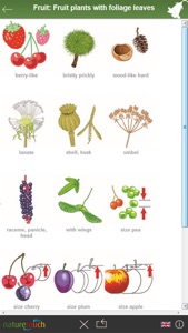 Identify 3000 plants, naturetouch screenshot #4 for iPhone