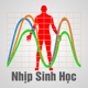 Nhịp Sinh Học