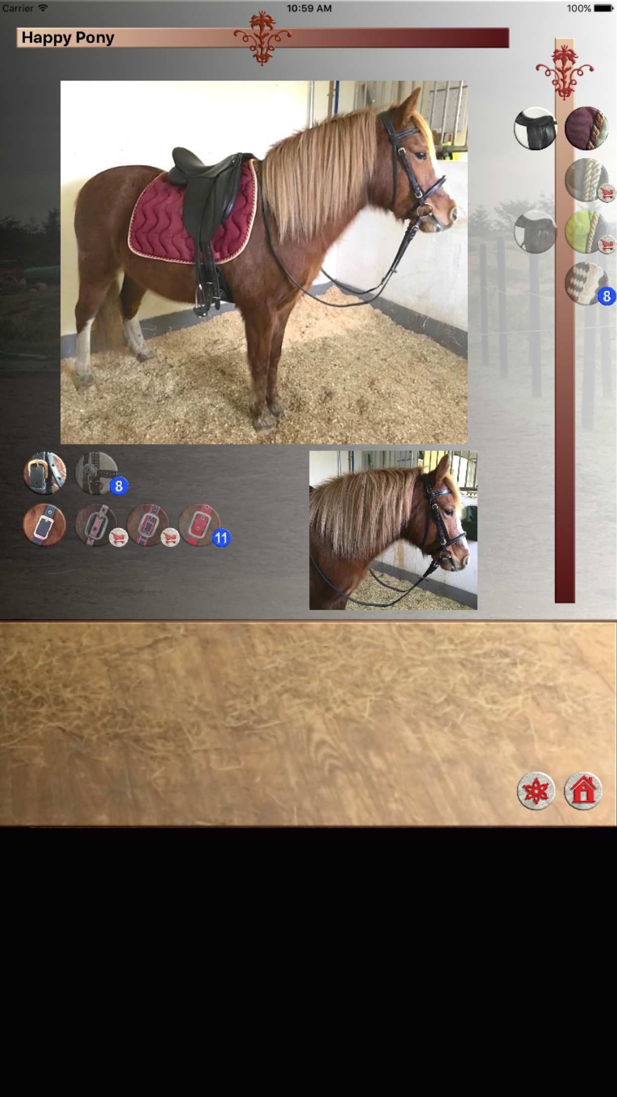 Happy Pony for iPhone by Horse Reader screenshot 5