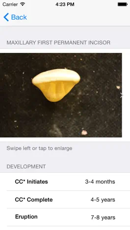 Game screenshot Tooth Morphology - Your Quick Reference Guide apk