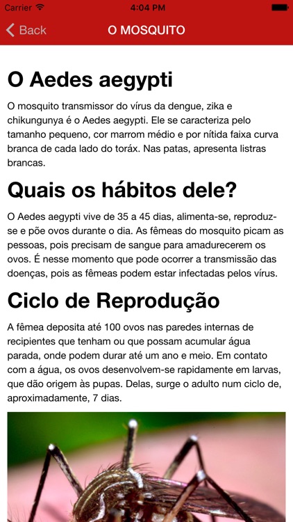 Dengue SC screenshot-4
