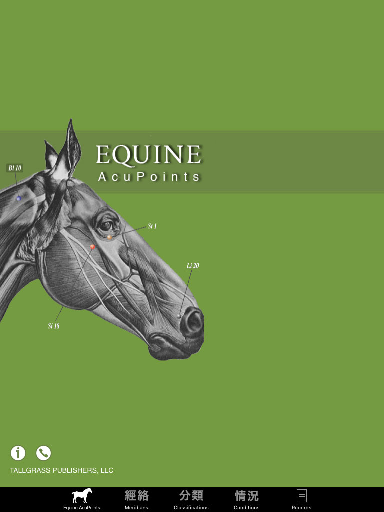 Equine AcuPoints