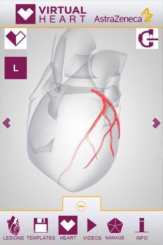 Virtual Heart - New Zealand screenshot 3