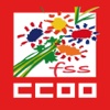 FSS-CCOO-CYL