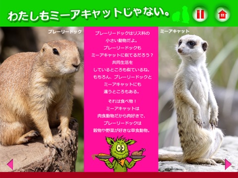 ミーアキャット ブーツの動物園 screenshot 3