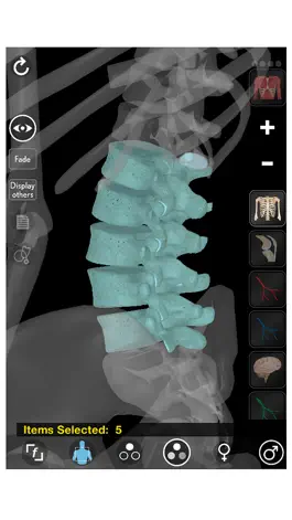 Game screenshot 3D Organon Anatomy - Skeleton, Bones, and Ligaments hack