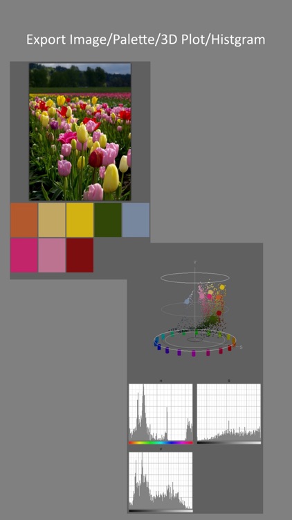 Color Spatioplotter LE screenshot-4