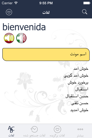Hooshyar Spanish - Persian Dictionary - náhled
