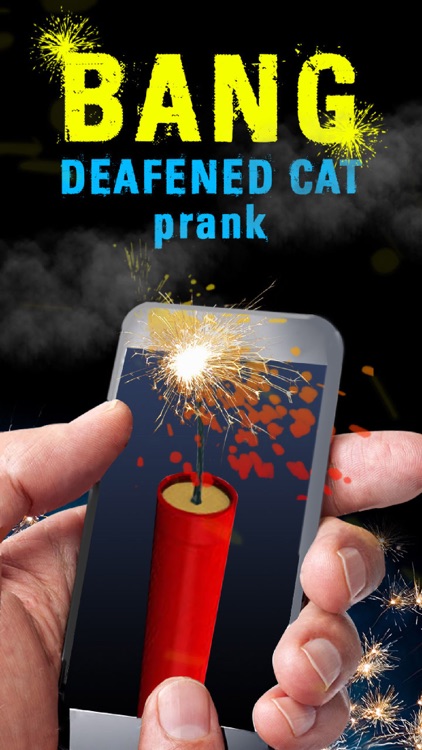 Bang Deafened Cat Prank