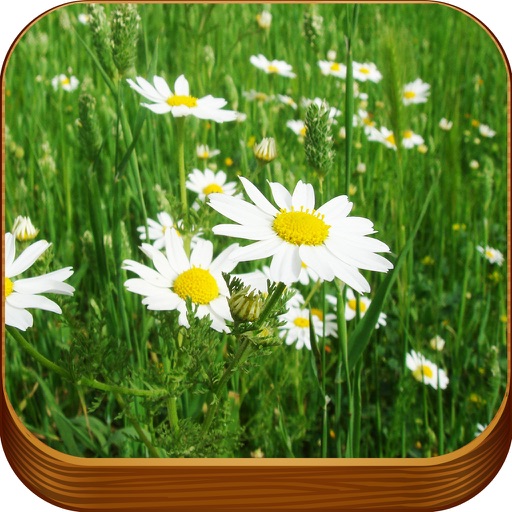 Spring Wallpapers 3D – Beautiful Nature Backgrounds Collection for Custom Home and Lock Screen iOS App