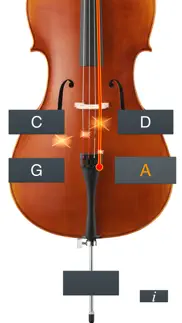 cello tuner simple problems & solutions and troubleshooting guide - 3