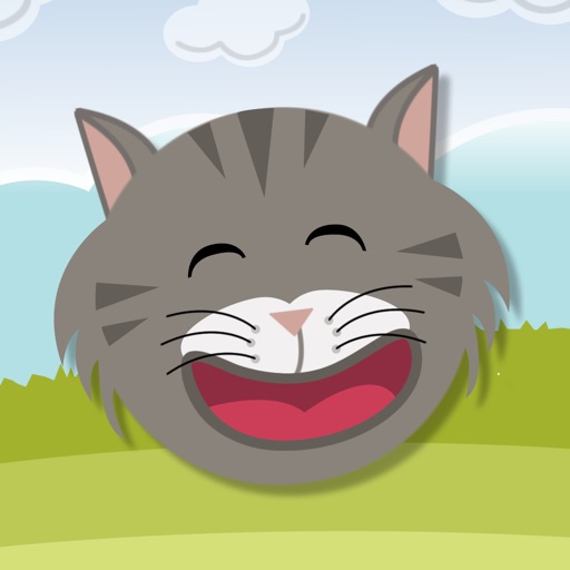 Furry Paws Game iOS App