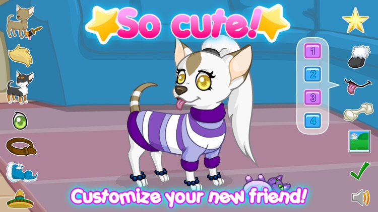 Adorables: Playful Chihuahua