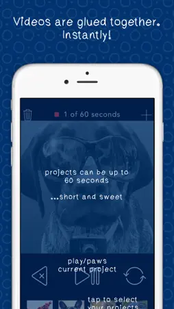Paws Pause screenshot 4
