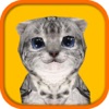 Cat Simulator HD - iPhoneアプリ