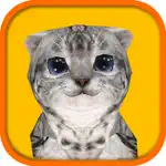 Cat Simulator HD App Positive Reviews